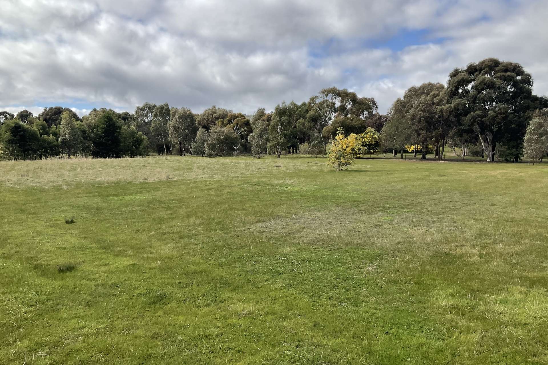 Redbank-Barkly Road, Barkly For Sale by Farmbuy.com - image 5
