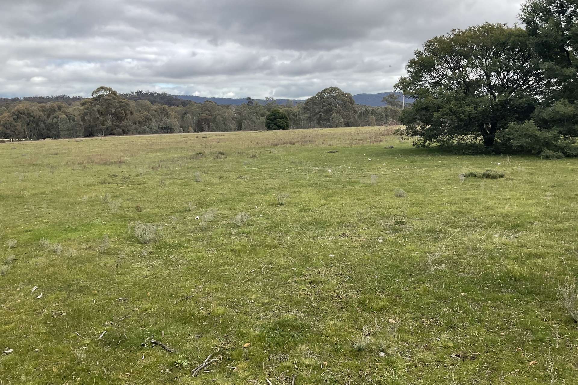 Redbank-Barkly Road, Barkly For Sale by Farmbuy.com - image 6
