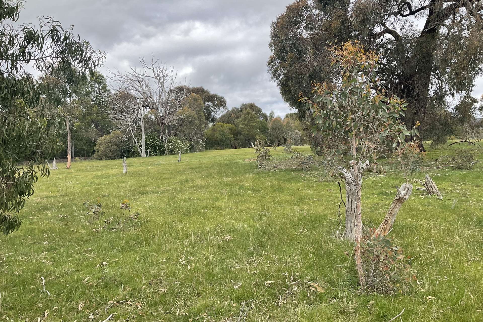 Redbank-Barkly Road, Barkly For Sale by Farmbuy.com - image 10