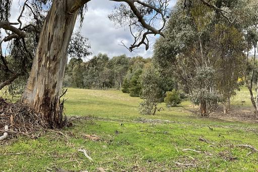Farm For Sale - VIC - Barkly - 3384 - *PRICE REDUCED* Escape to the Pyrenees – 18 Acres of Lifestyle, Adventure & Endless Potential 