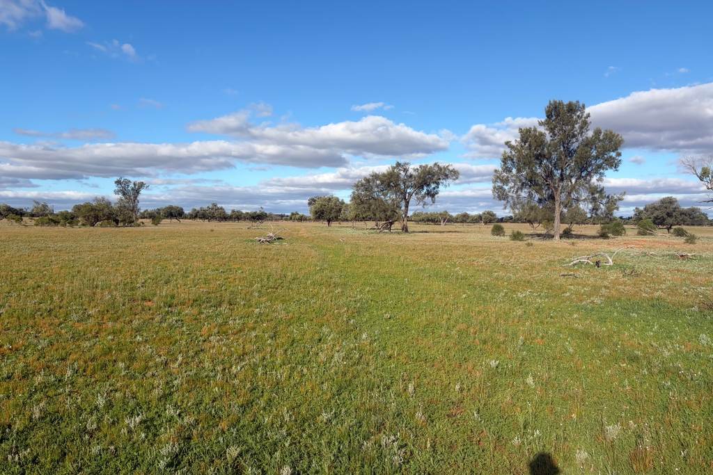 3725 Karpa Kora Road, Moorara NSW 2648