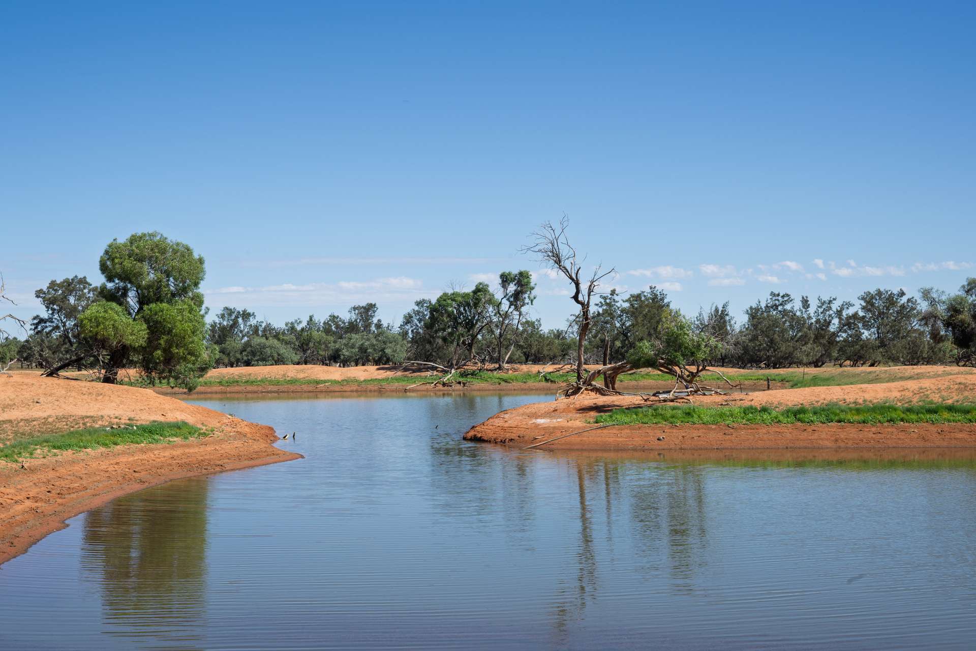 3725 Karpa Kora Road, Moorara For Sale by Farmbuy.com - image 3