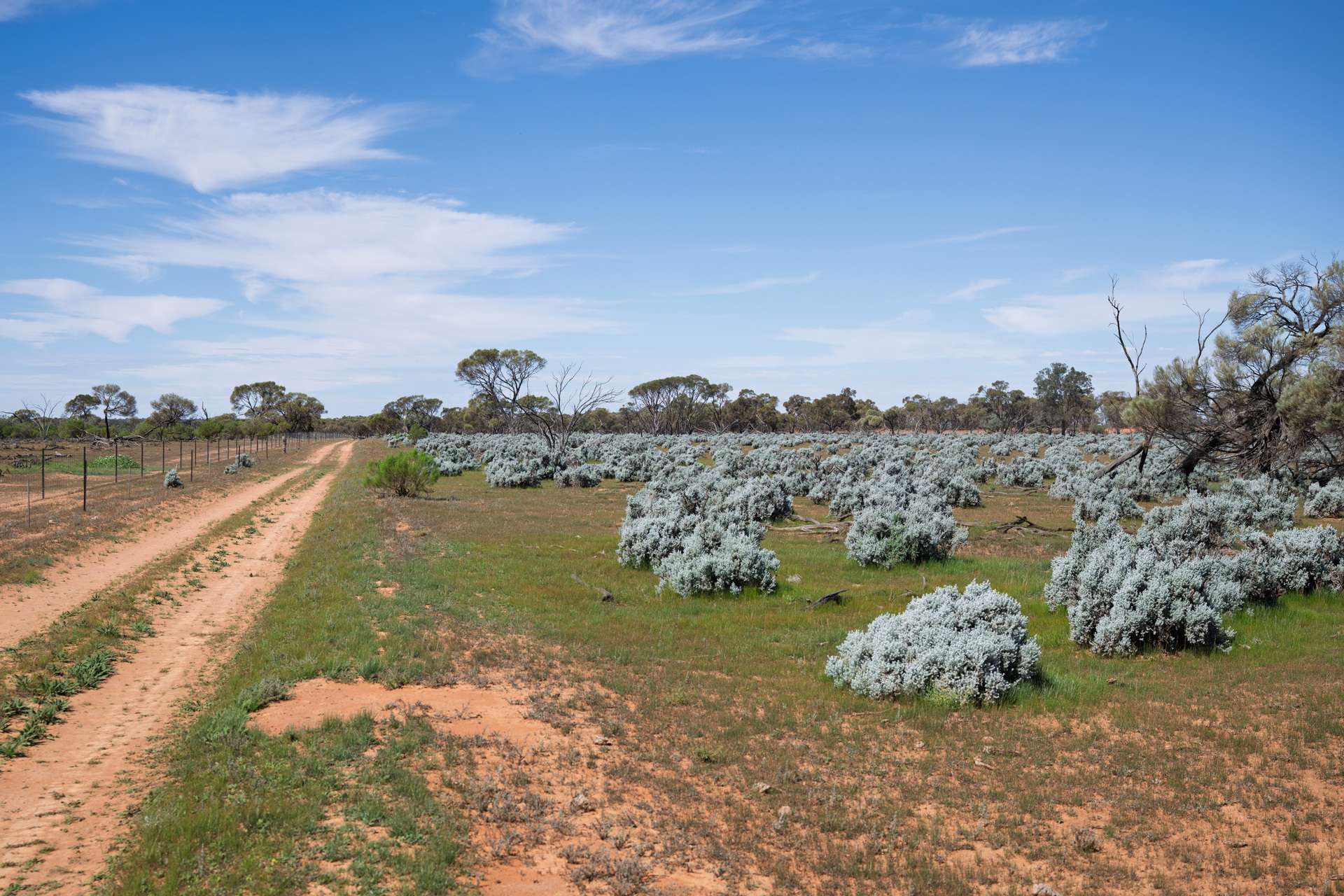 3725 Karpa Kora Road, Moorara For Sale by Farmbuy.com - image 14
