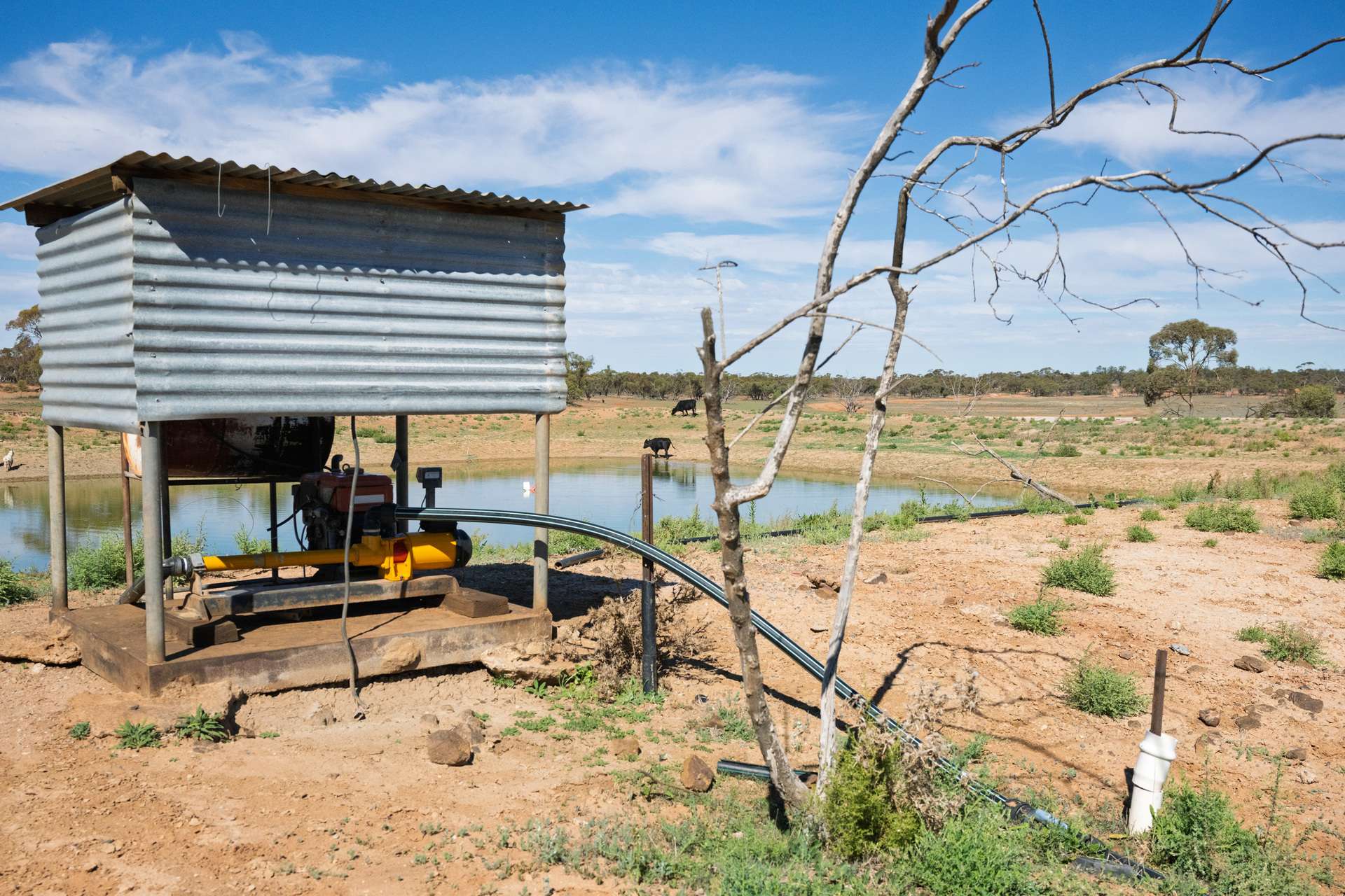 3725 Karpa Kora Road, Moorara For Sale by Farmbuy.com - image 18