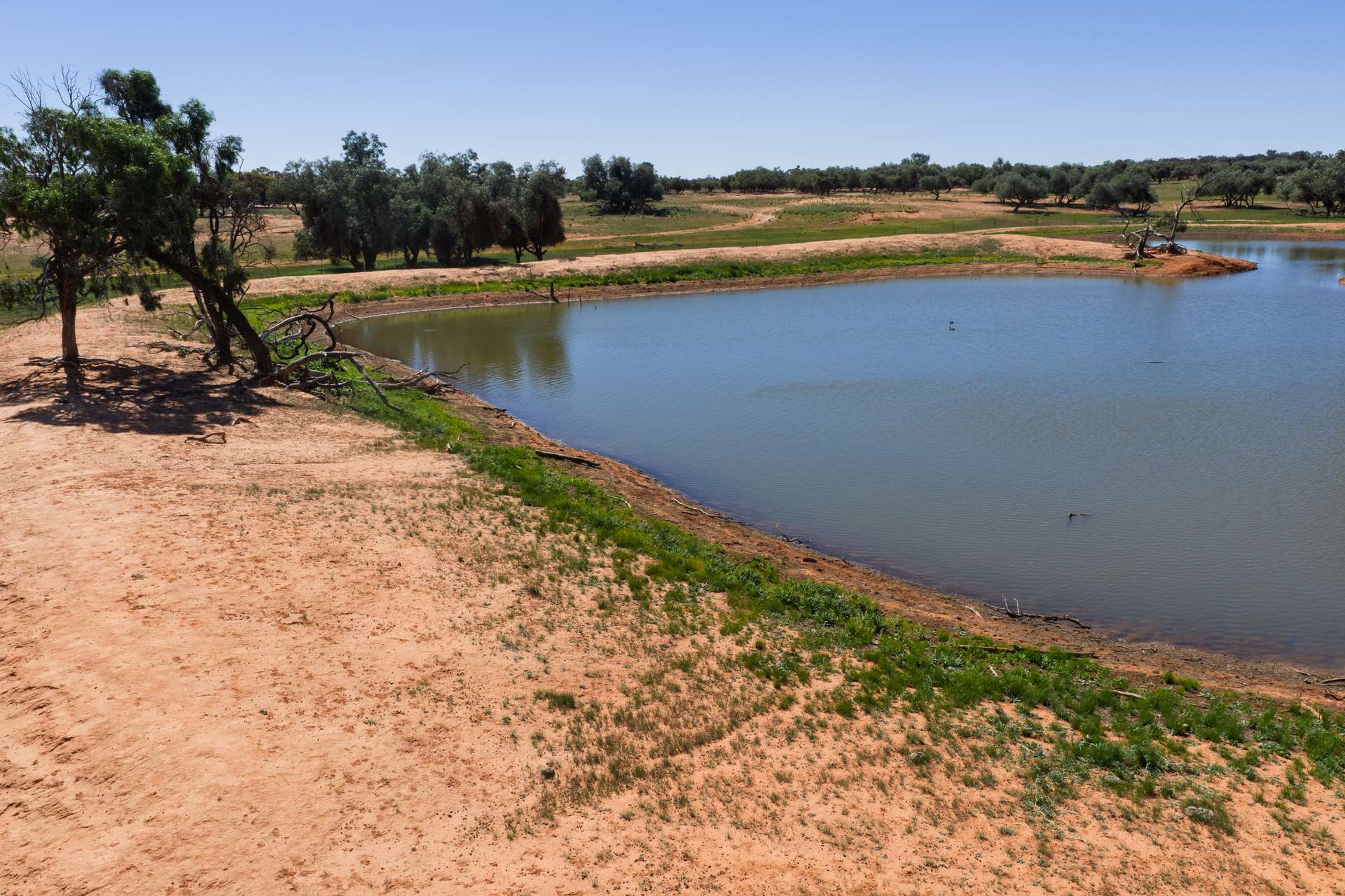 3725 Karpa Kora Road, Moorara For Sale by Farmbuy.com - image 22