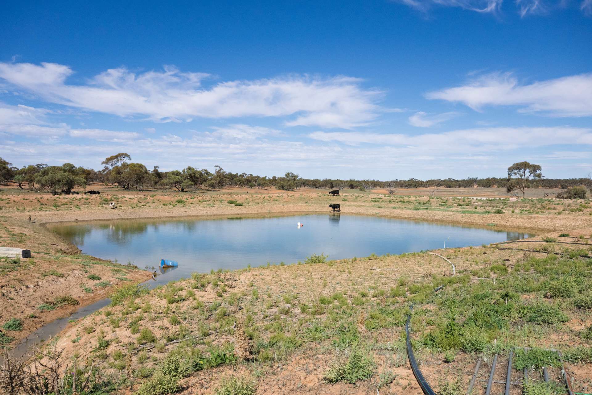 3725 Karpa Kora Road, Moorara For Sale by Farmbuy.com - image 6