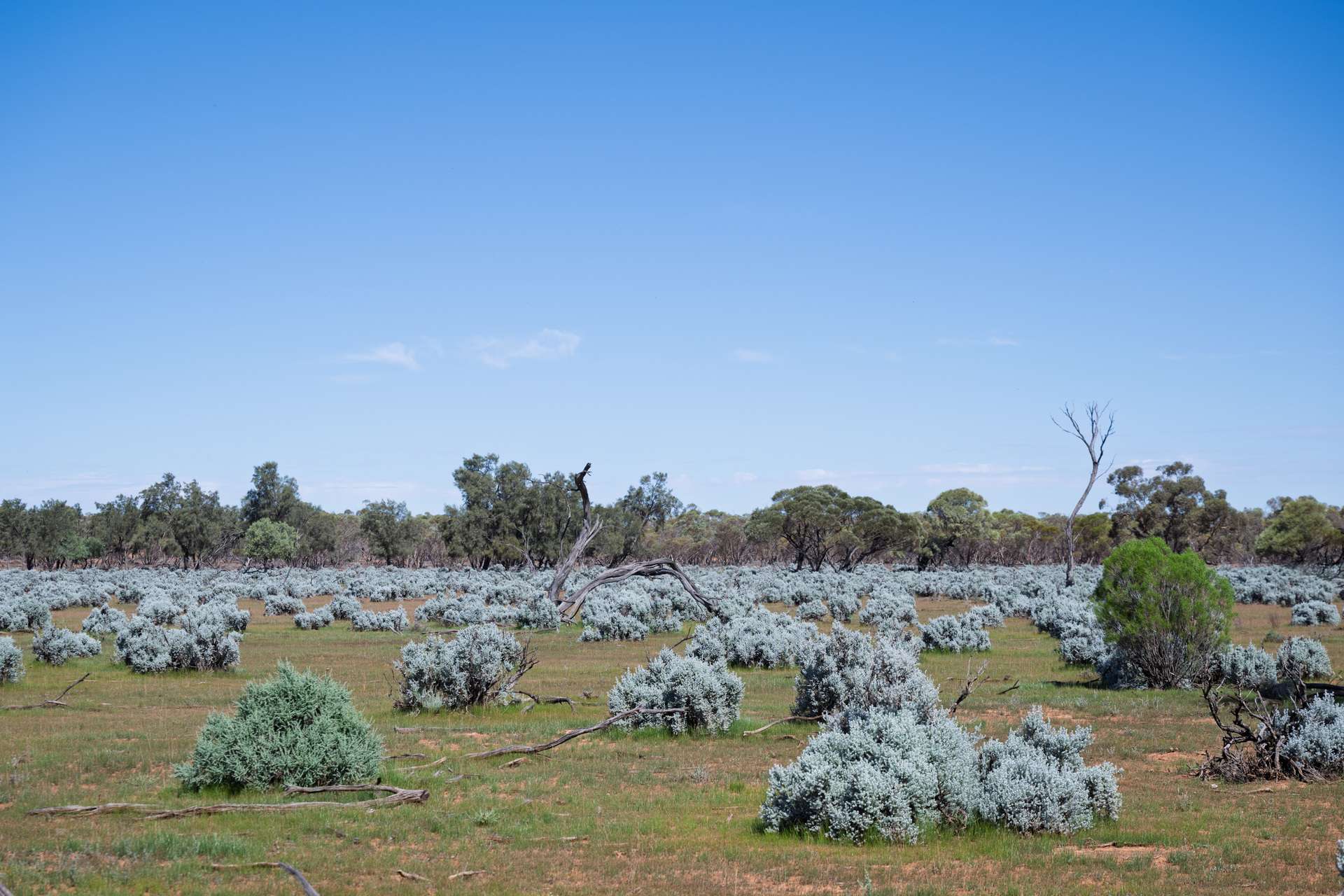 3725 Karpa Kora Road, Moorara For Sale by Farmbuy.com - image 4