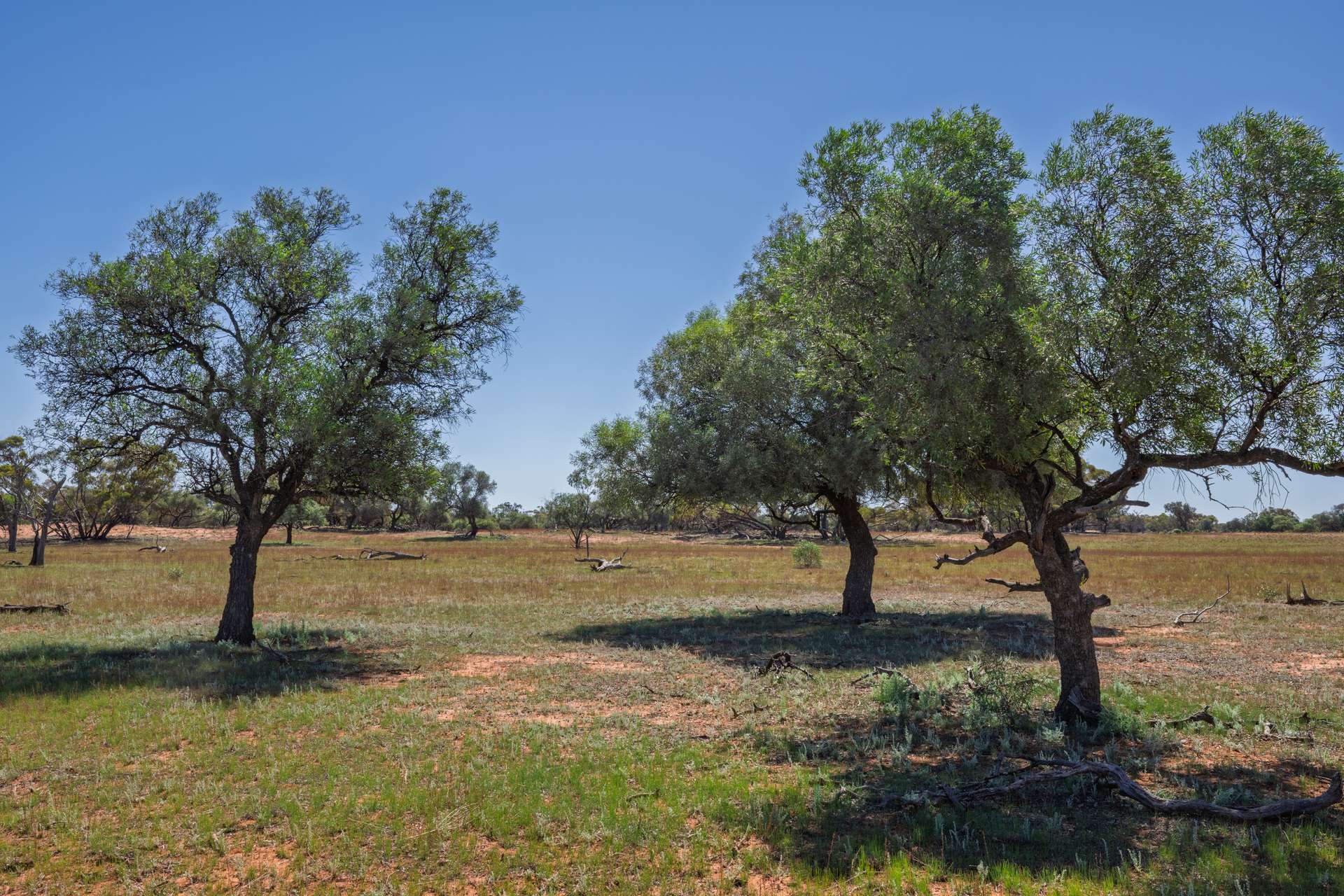 3725 Karpa Kora Road, Moorara For Sale by Farmbuy.com - image 19