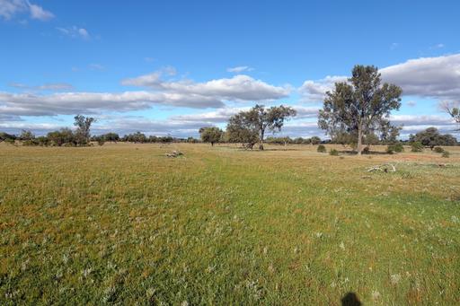 3725 Karpa Kora Road, Moorara NSW 2648