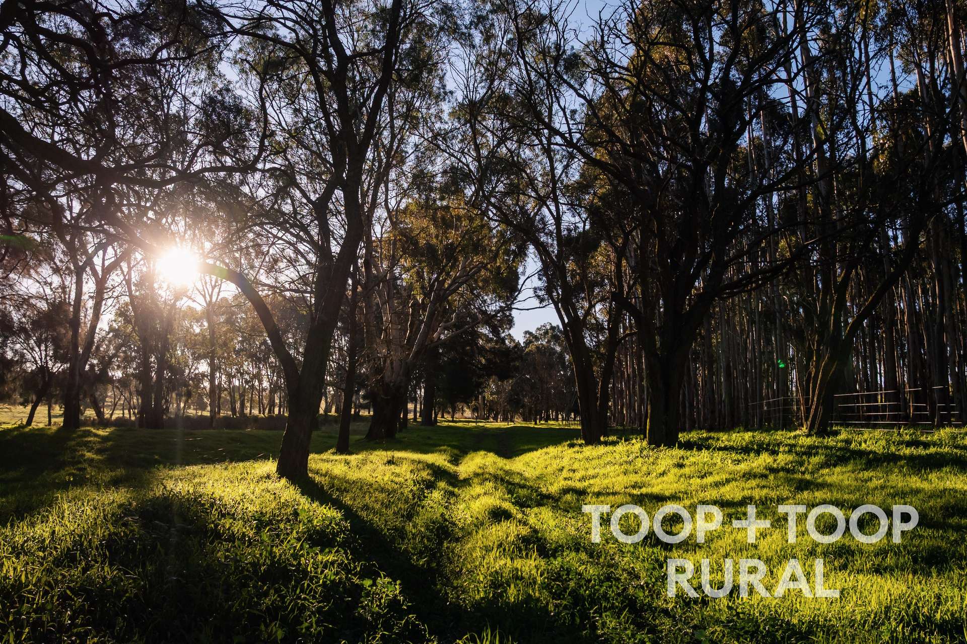 119 Lucas Road, Mount Pleasant For Sale by Farmbuy.com - image 33