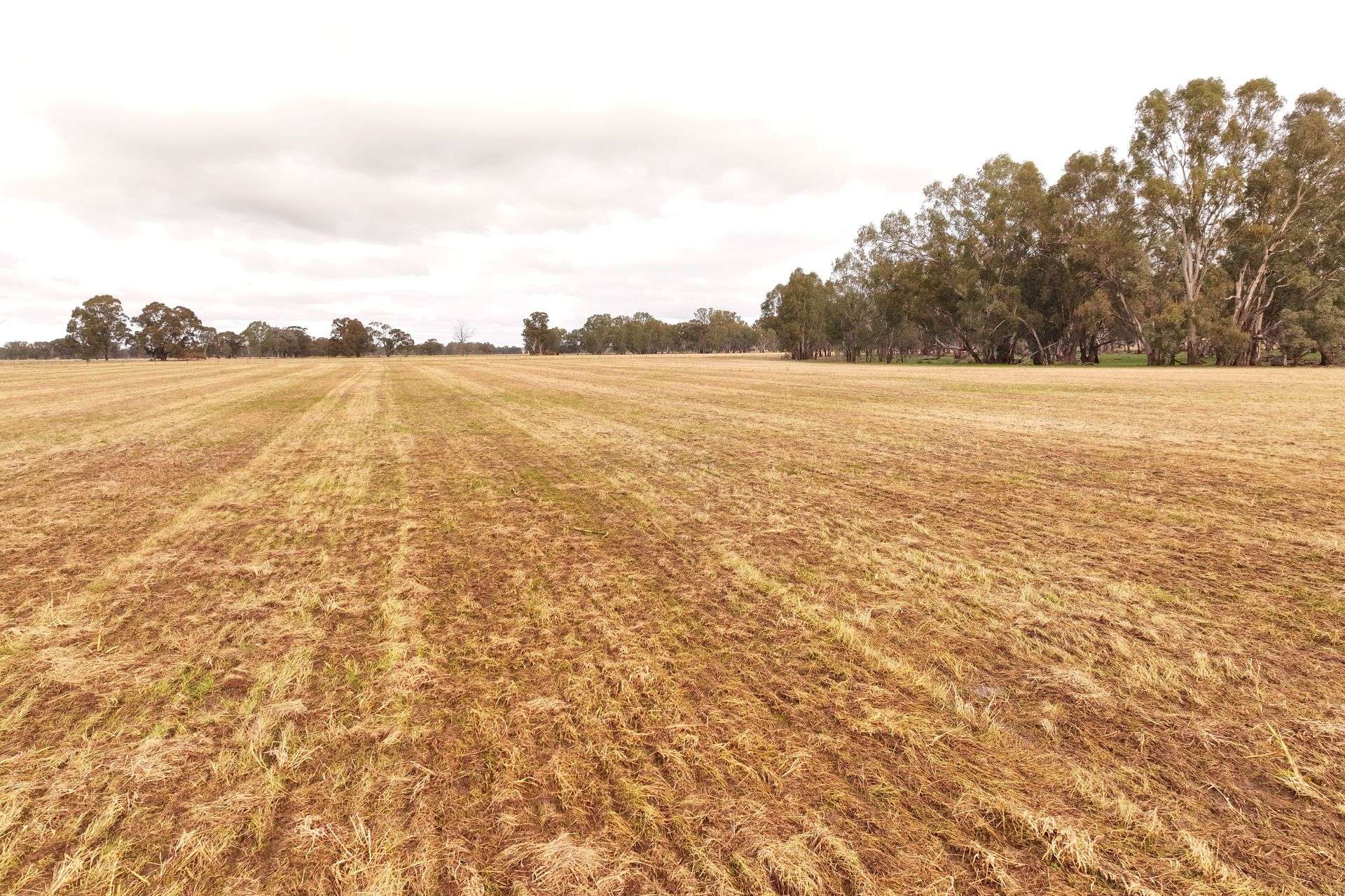CNR O'Keefe And McKenzie Road, Boorhaman For Sale by Farmbuy.com - image 8