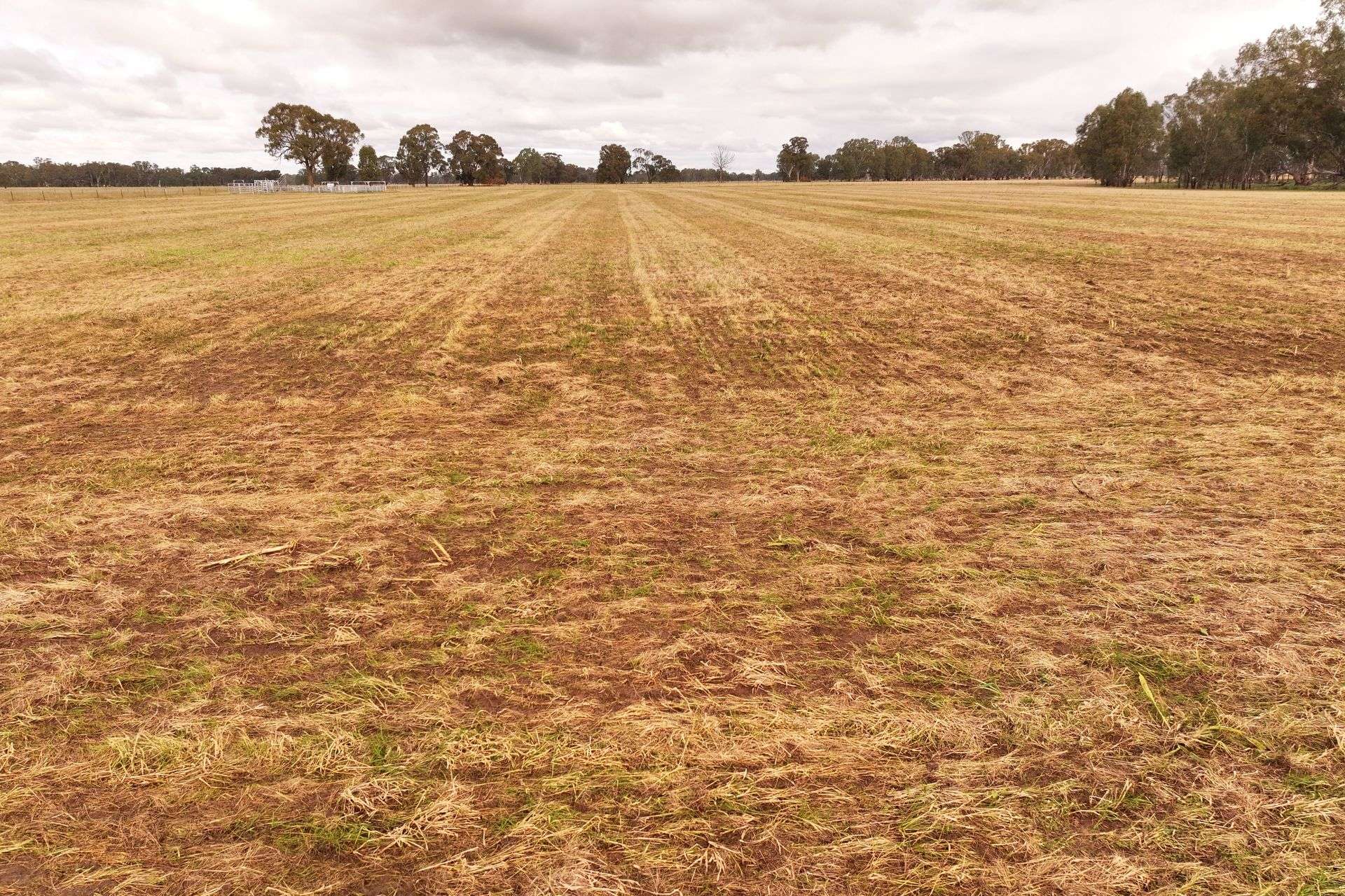 CNR O'Keefe And McKenzie Road, Boorhaman For Sale by Farmbuy.com - image 7