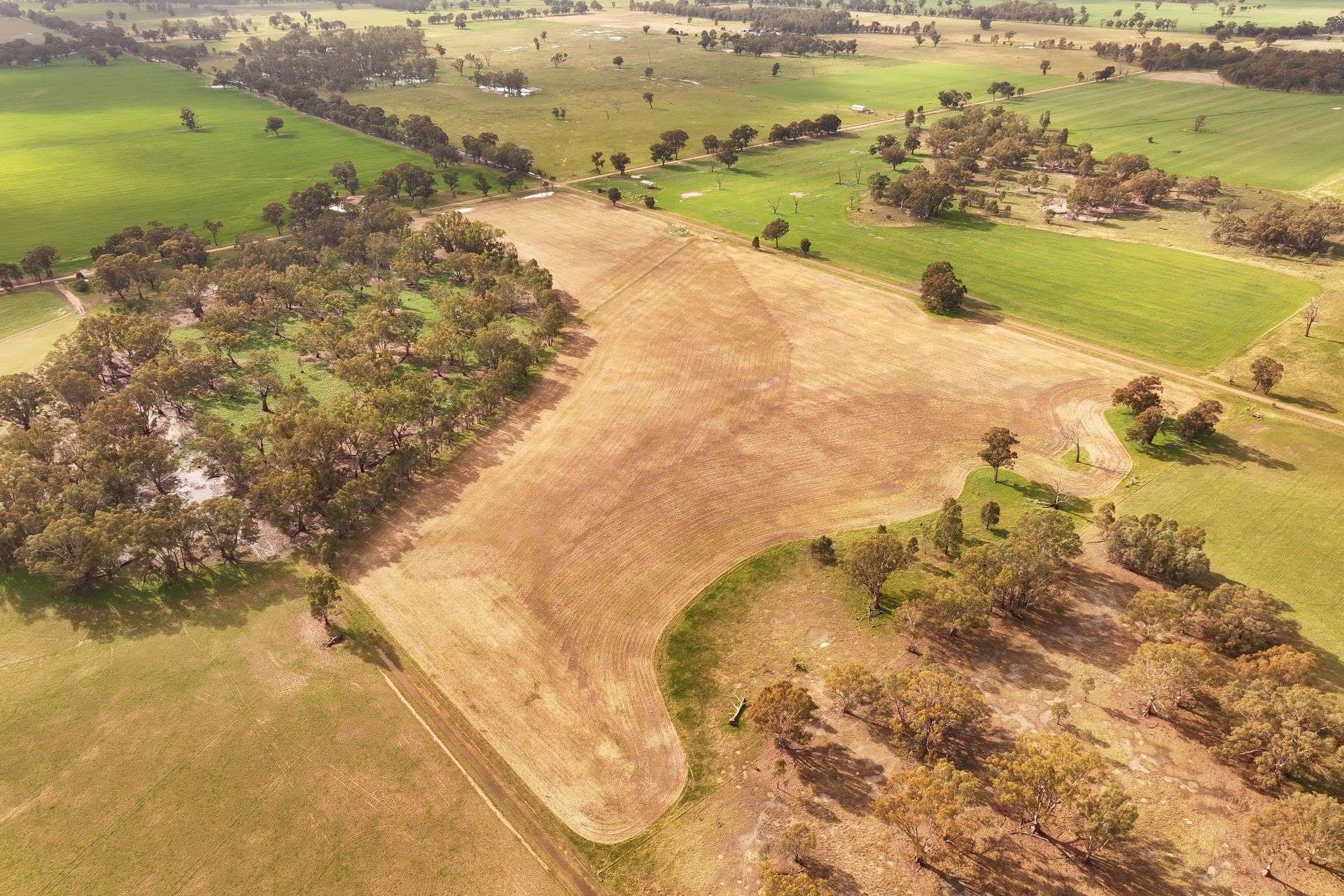 CNR O'Keefe And McKenzie Road, Boorhaman For Sale by Farmbuy.com - image 2