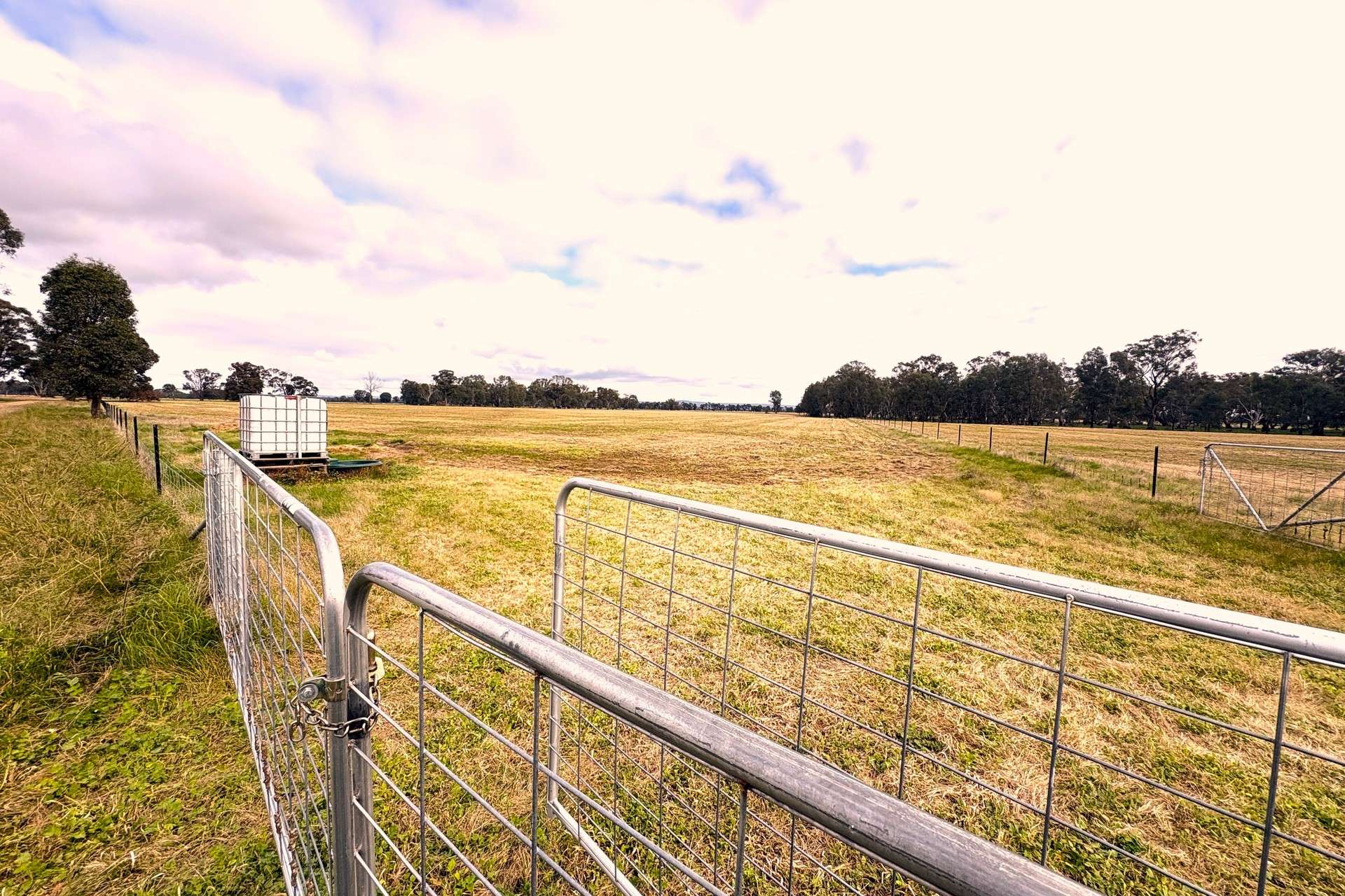 CNR O'Keefe And McKenzie Road, Boorhaman For Sale by Farmbuy.com - image 6