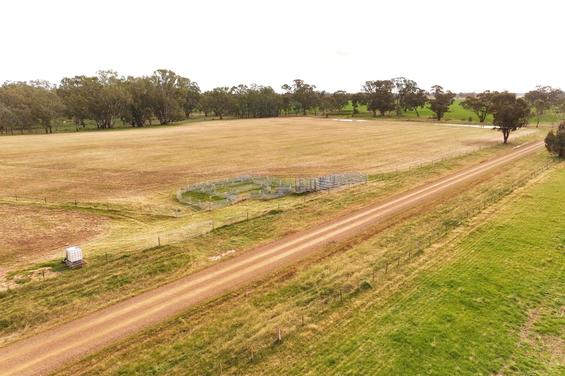 CNR O'Keefe And McKenzie Road, Boorhaman For Sale by Farmbuy.com - image 4