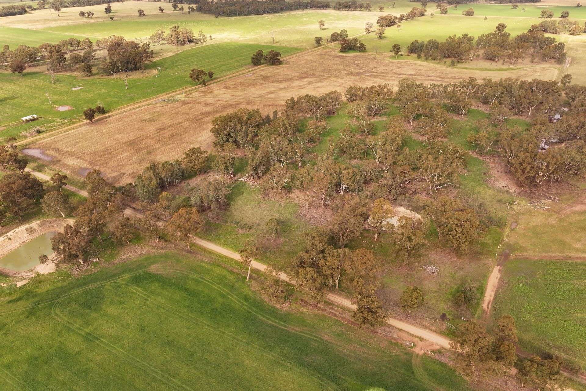 CNR O'Keefe And McKenzie Road, Boorhaman For Sale by Farmbuy.com - image 9