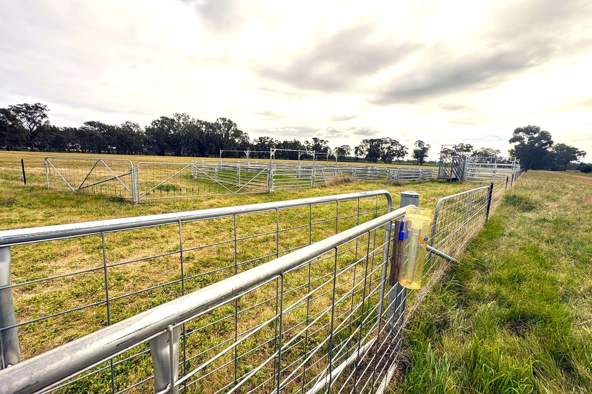 CNR O'Keefe And McKenzie Road, Boorhaman For Sale by Farmbuy.com - image 5