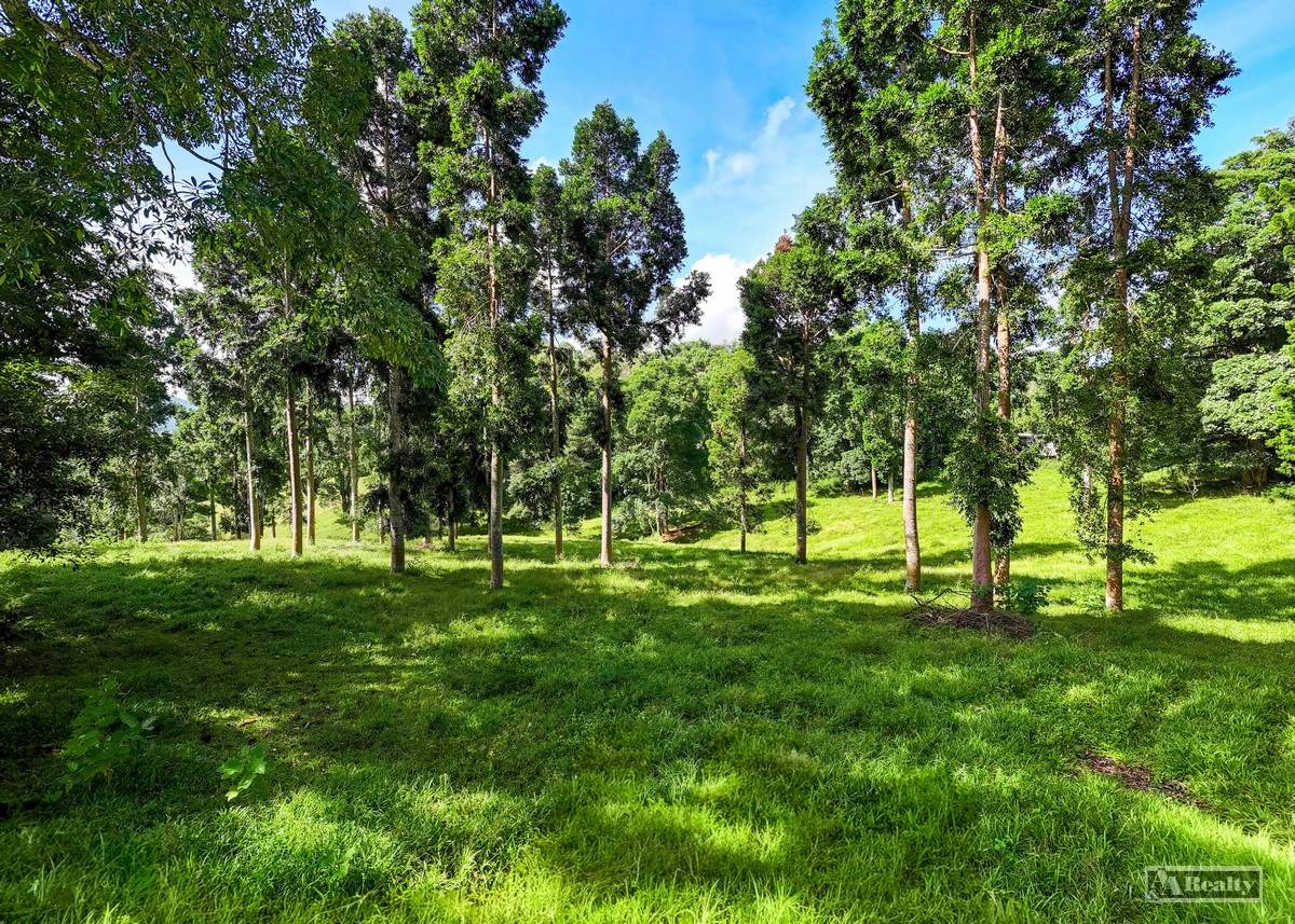 East Palmerston For Sale by Farmbuy.com - image 20