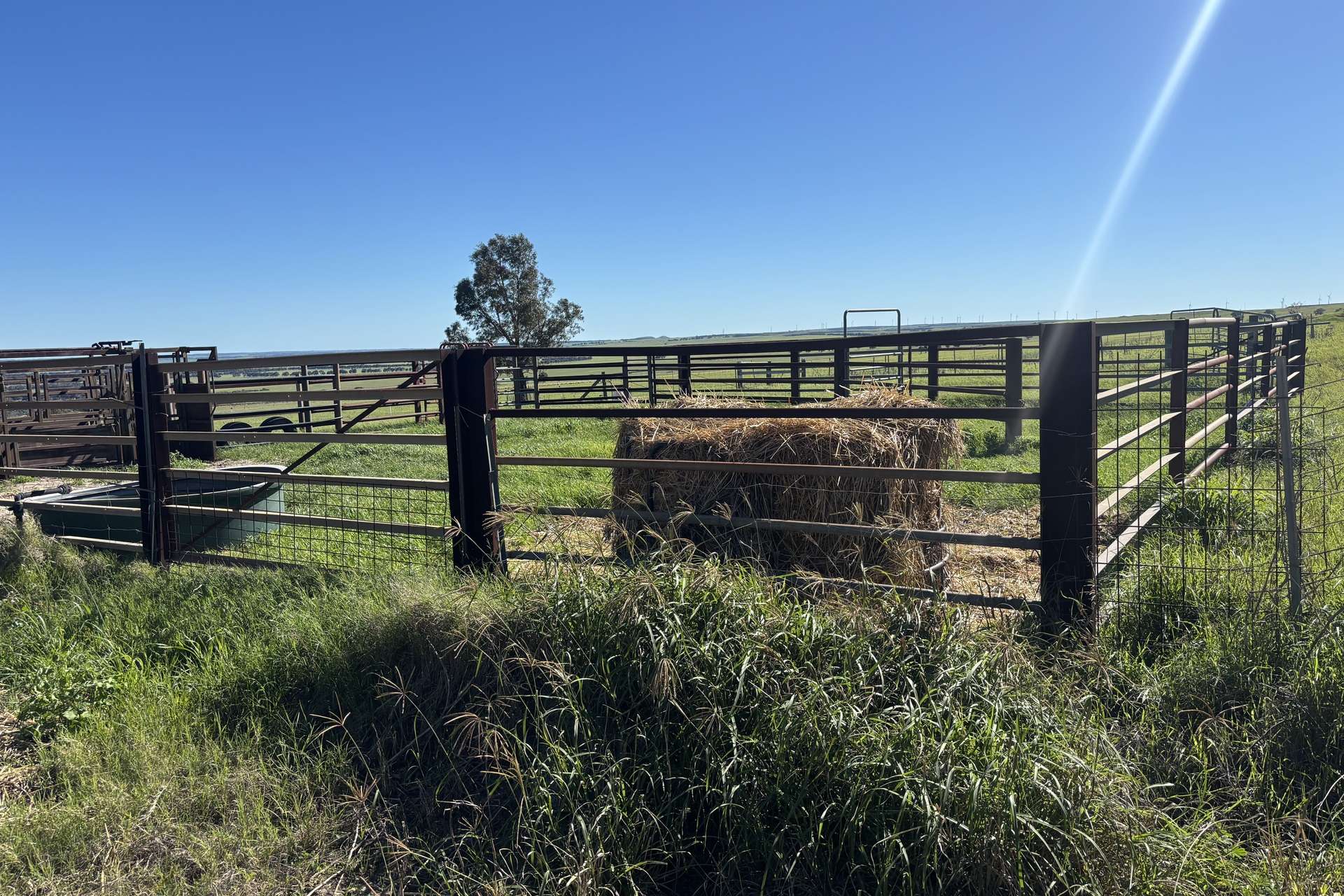1321 Allanooka Springs Road, Mount Hill For Sale by Farmbuy.com - image 25