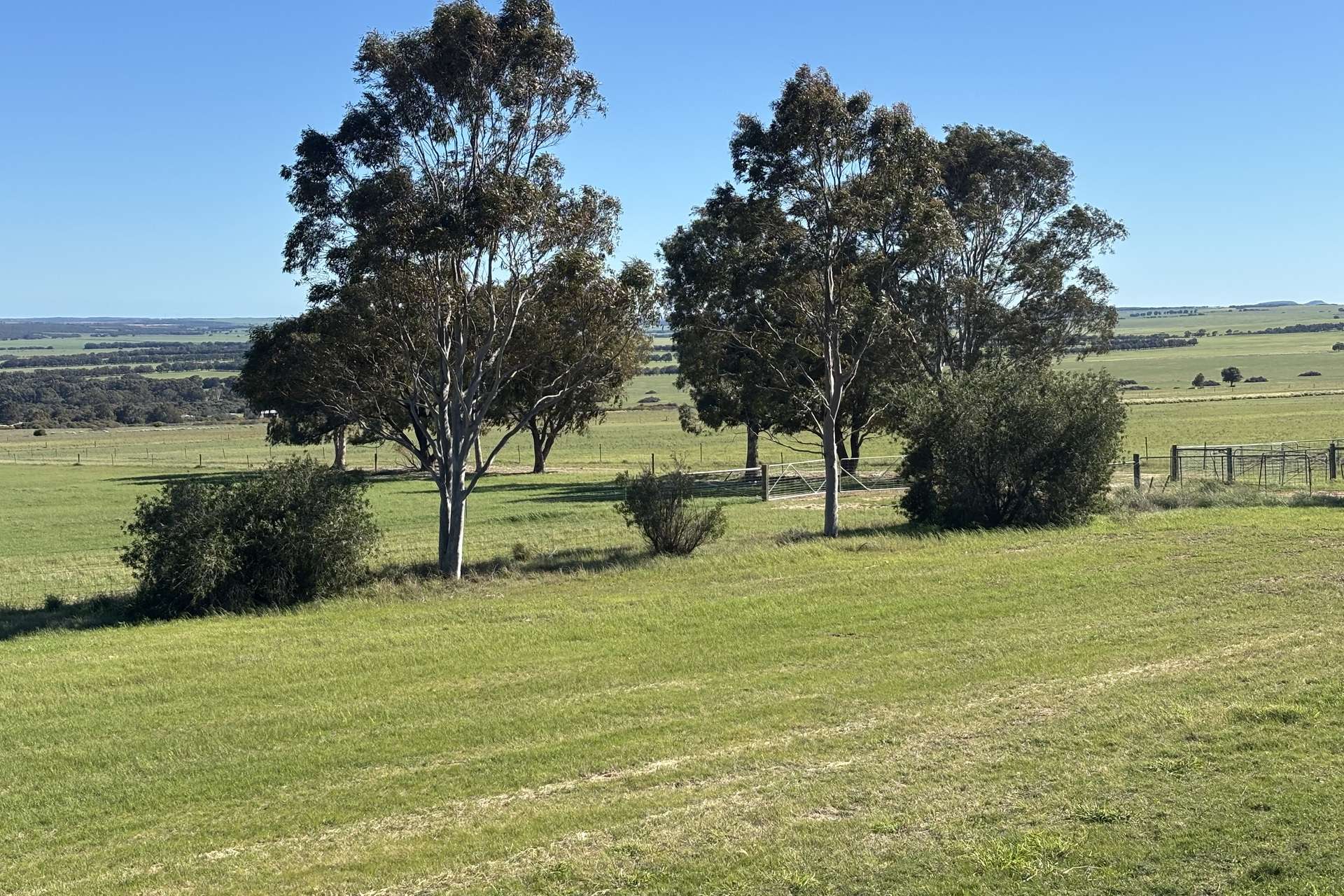 1321 Allanooka Springs Road, Mount Hill For Sale by Farmbuy.com - image 15