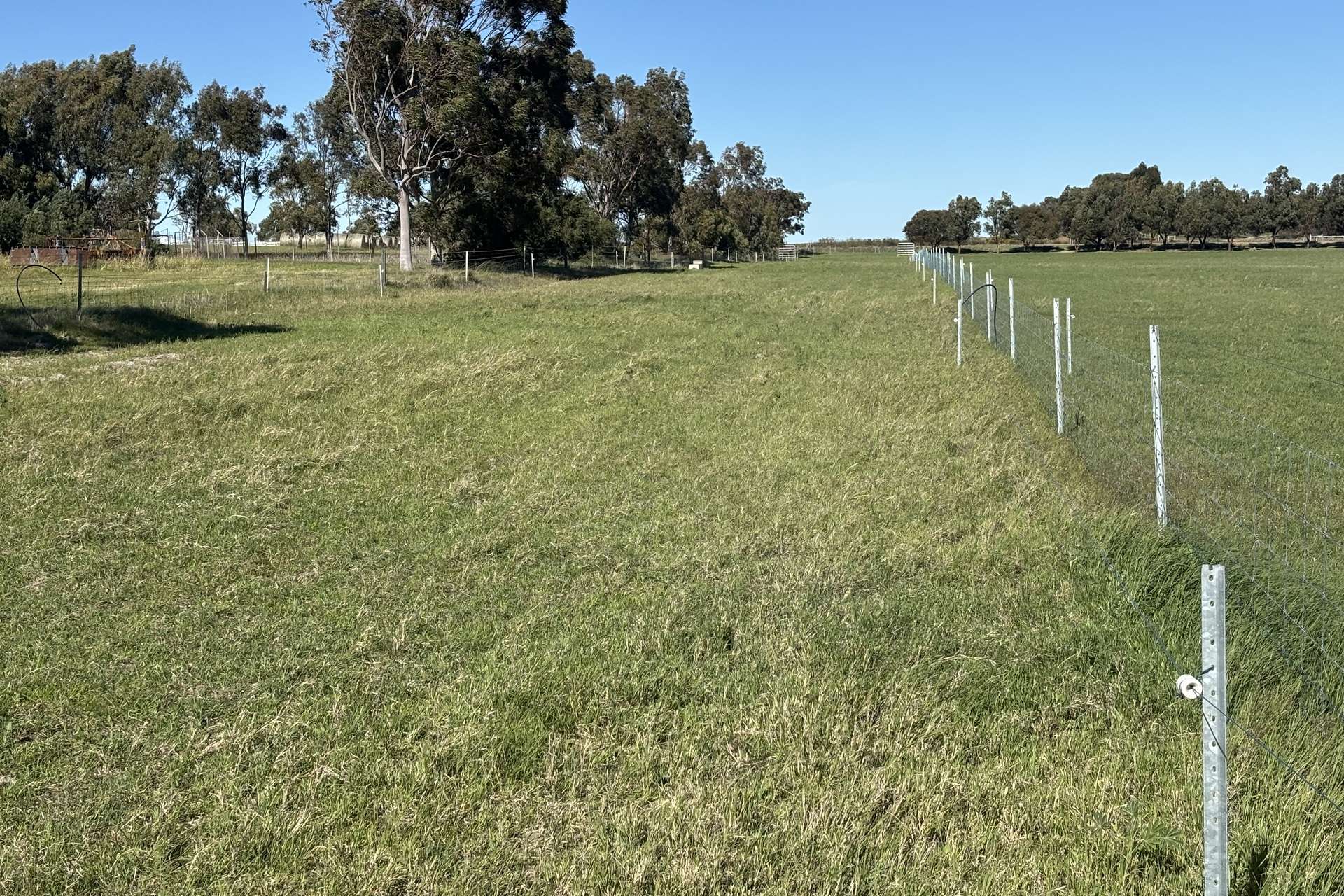 1321 Allanooka Springs Road, Mount Hill For Sale by Farmbuy.com - image 24