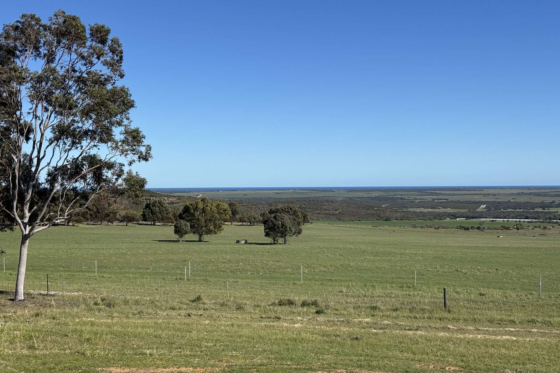 1321 Allanooka Springs Road, Mount Hill For Sale by Farmbuy.com - image 20