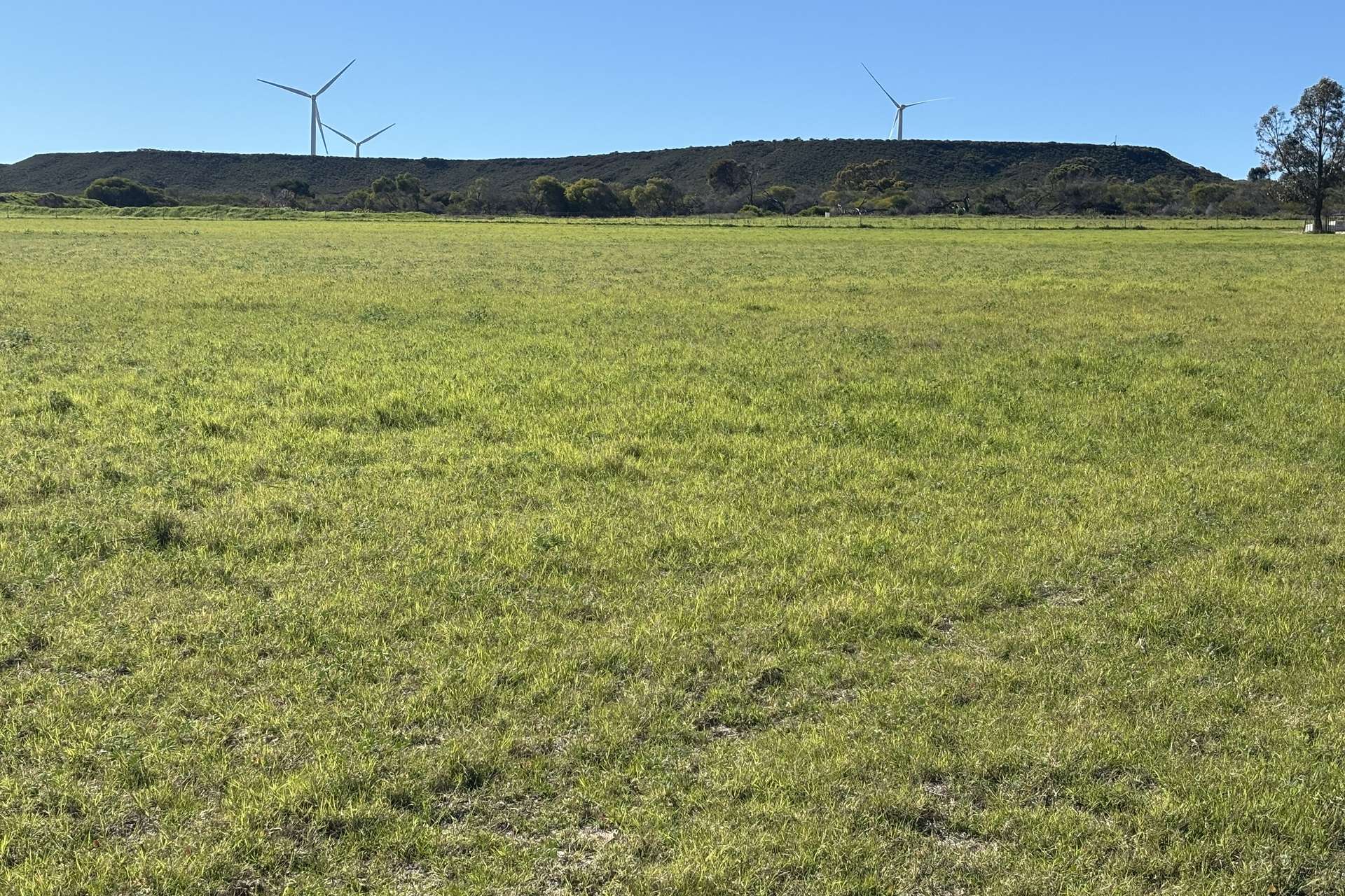 1321 Allanooka Springs Road, Mount Hill For Sale by Farmbuy.com - image 28