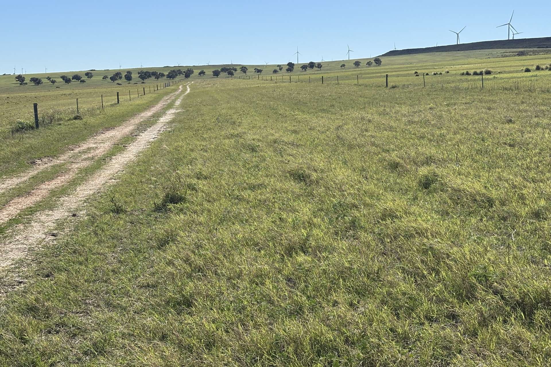 1321 Allanooka Springs Road, Mount Hill For Sale by Farmbuy.com - image 29