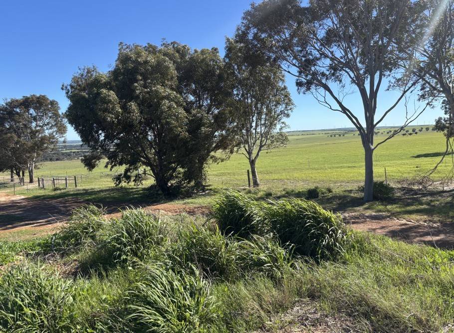 1321 Allanooka Springs Road, Mount Hill For Sale by Farmbuy.com - image 19
