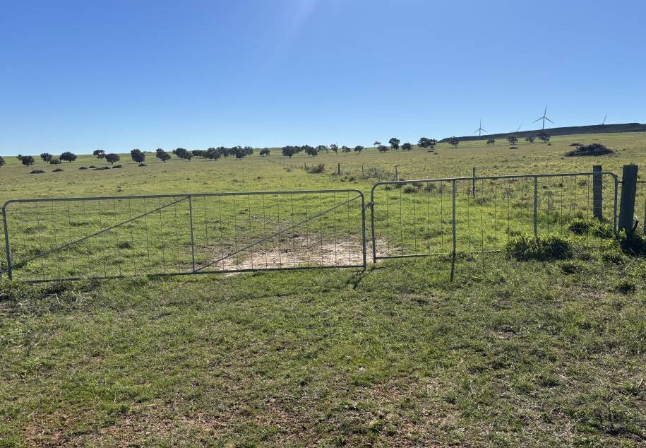 1321 Allanooka Springs Road, Mount Hill For Sale by Farmbuy.com - image 30