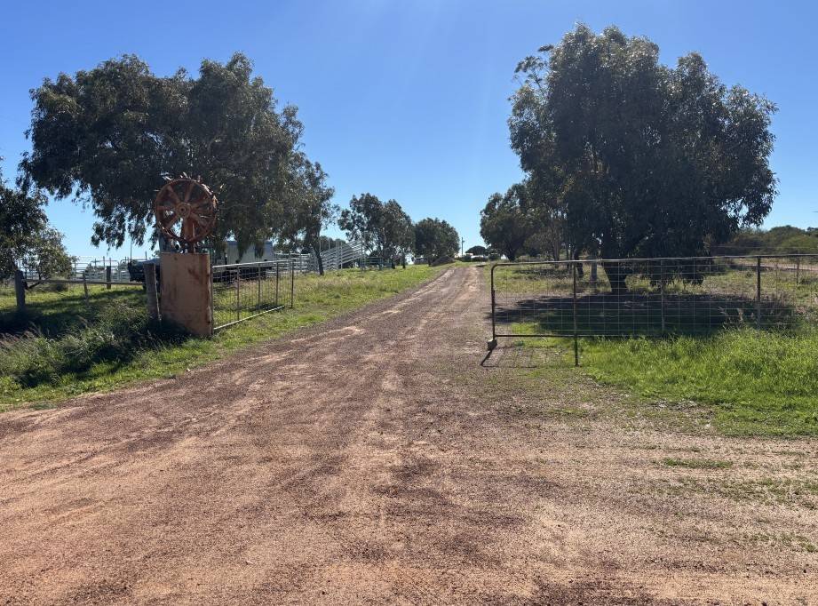 1321 Allanooka Springs Road, Mount Hill For Sale by Farmbuy.com - image 2