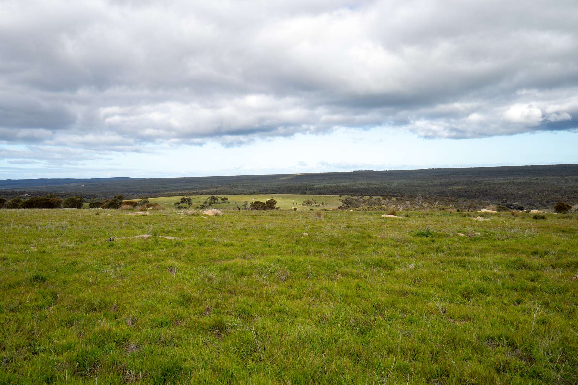 Lot 1895 Pallinup River Estate, Boxwood Hill For Sale by Farmbuy.com - image 6