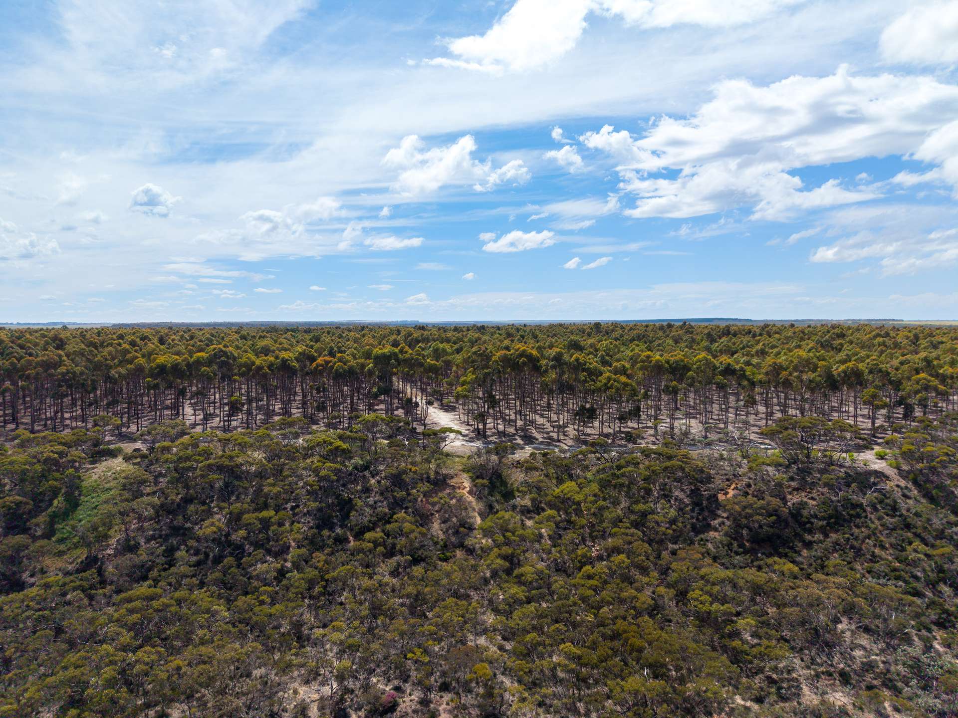 Lot 1895 Pallinup River Estate, Boxwood Hill For Sale by Farmbuy.com - image 27