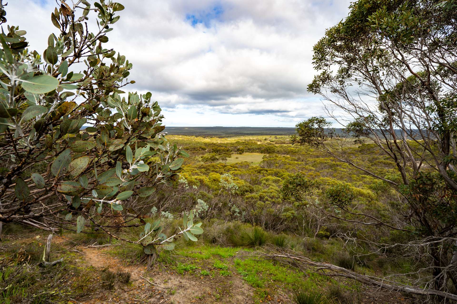 Lot 1895 Pallinup River Estate, Boxwood Hill For Sale by Farmbuy.com - image 18