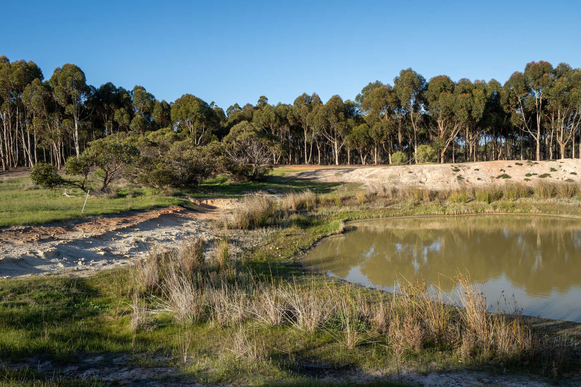 Lot 1895 Pallinup River Estate, Boxwood Hill For Sale by Farmbuy.com - image 21
