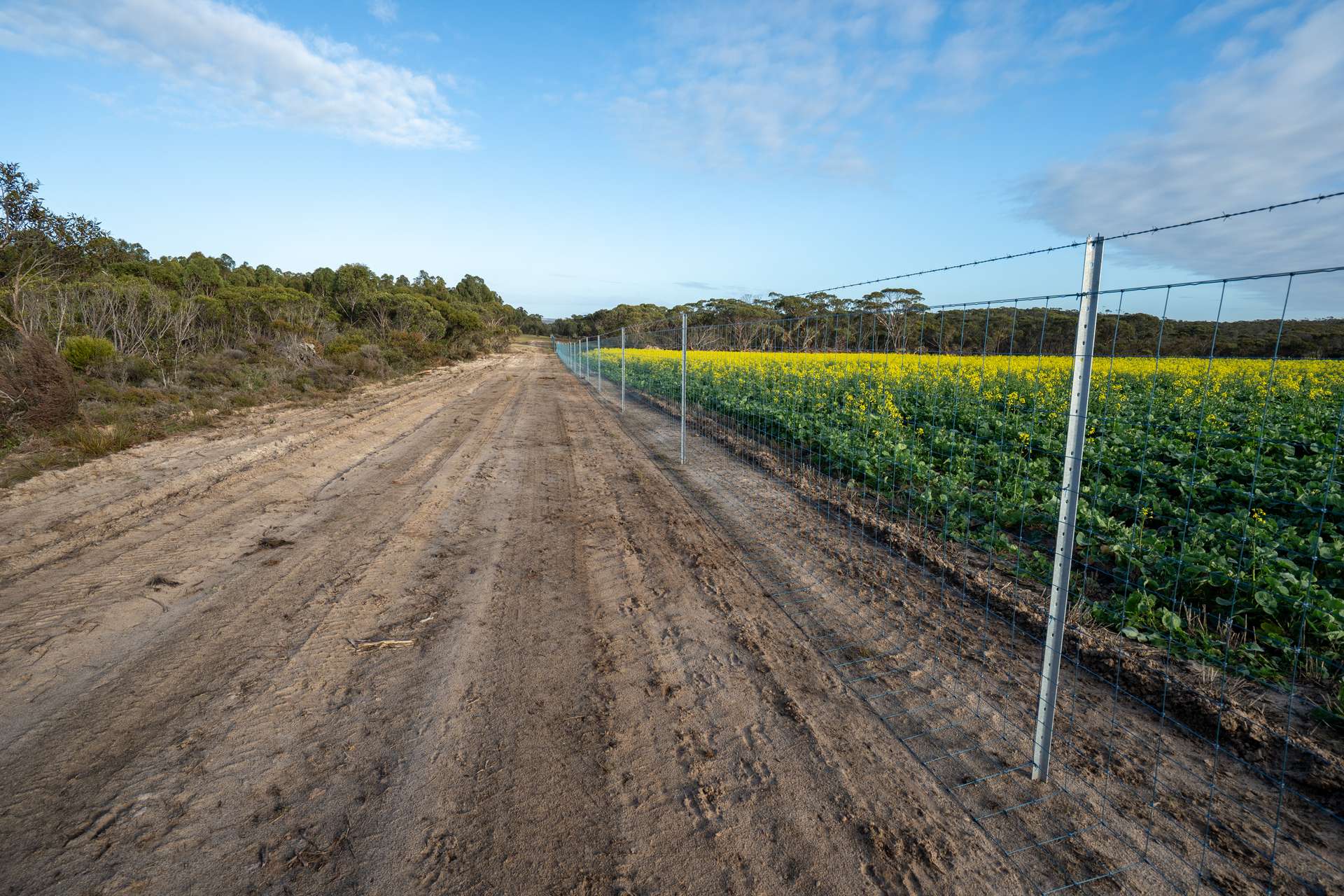 Lot 1895 Pallinup River Estate, Boxwood Hill For Sale by Farmbuy.com - image 30