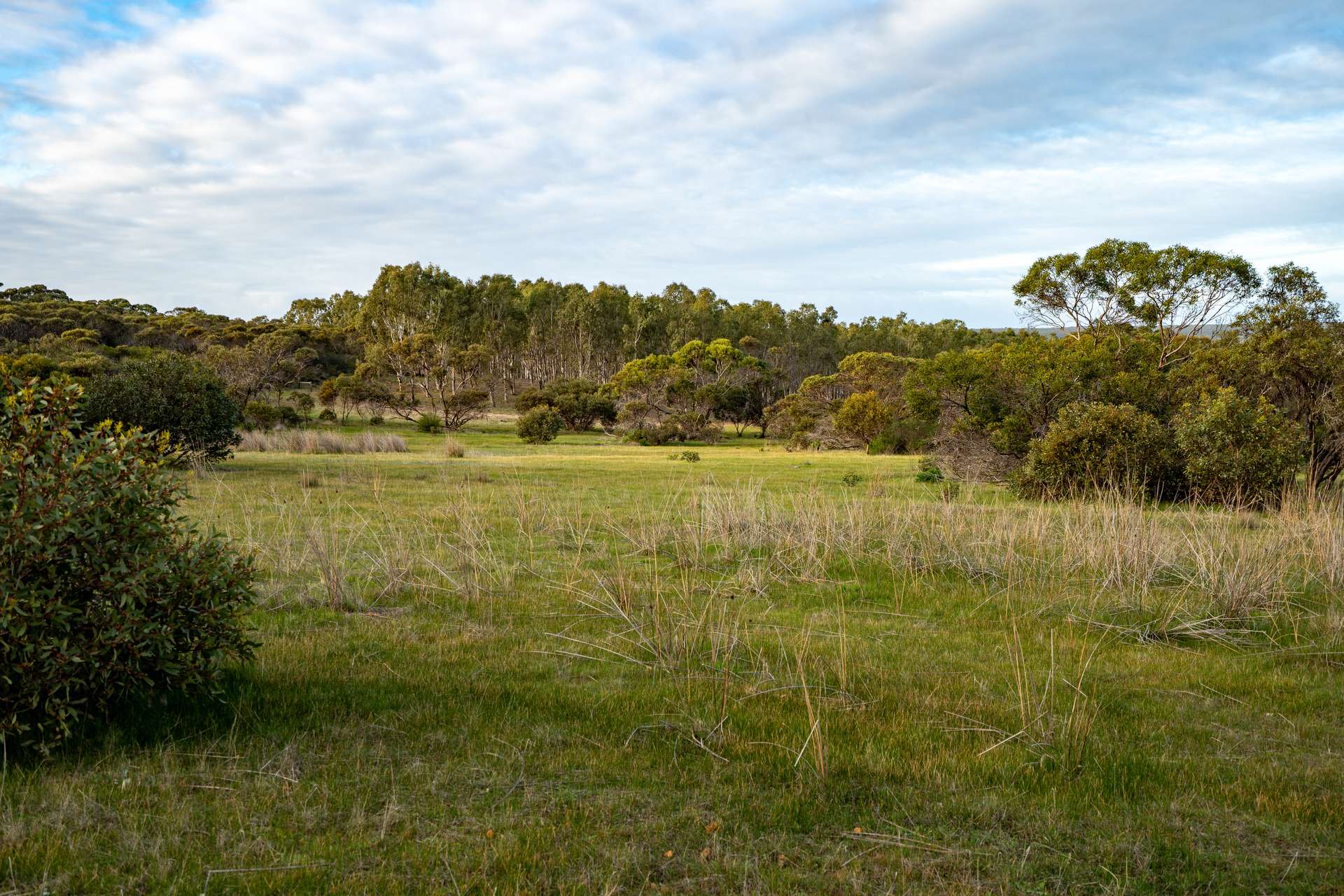 Lot 1895 Pallinup River Estate, Boxwood Hill For Sale by Farmbuy.com - image 28