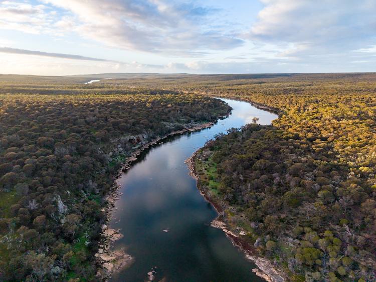 Lot 1895 Pallinup River Estate, Boxwood Hill For Sale by Farmbuy.com - image 12