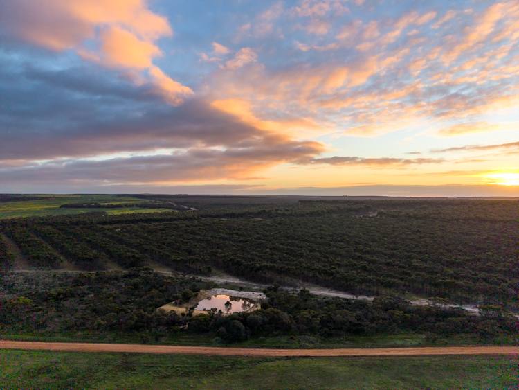 Lot 1895 Pallinup River Estate, Boxwood Hill For Sale by Farmbuy.com - image 2