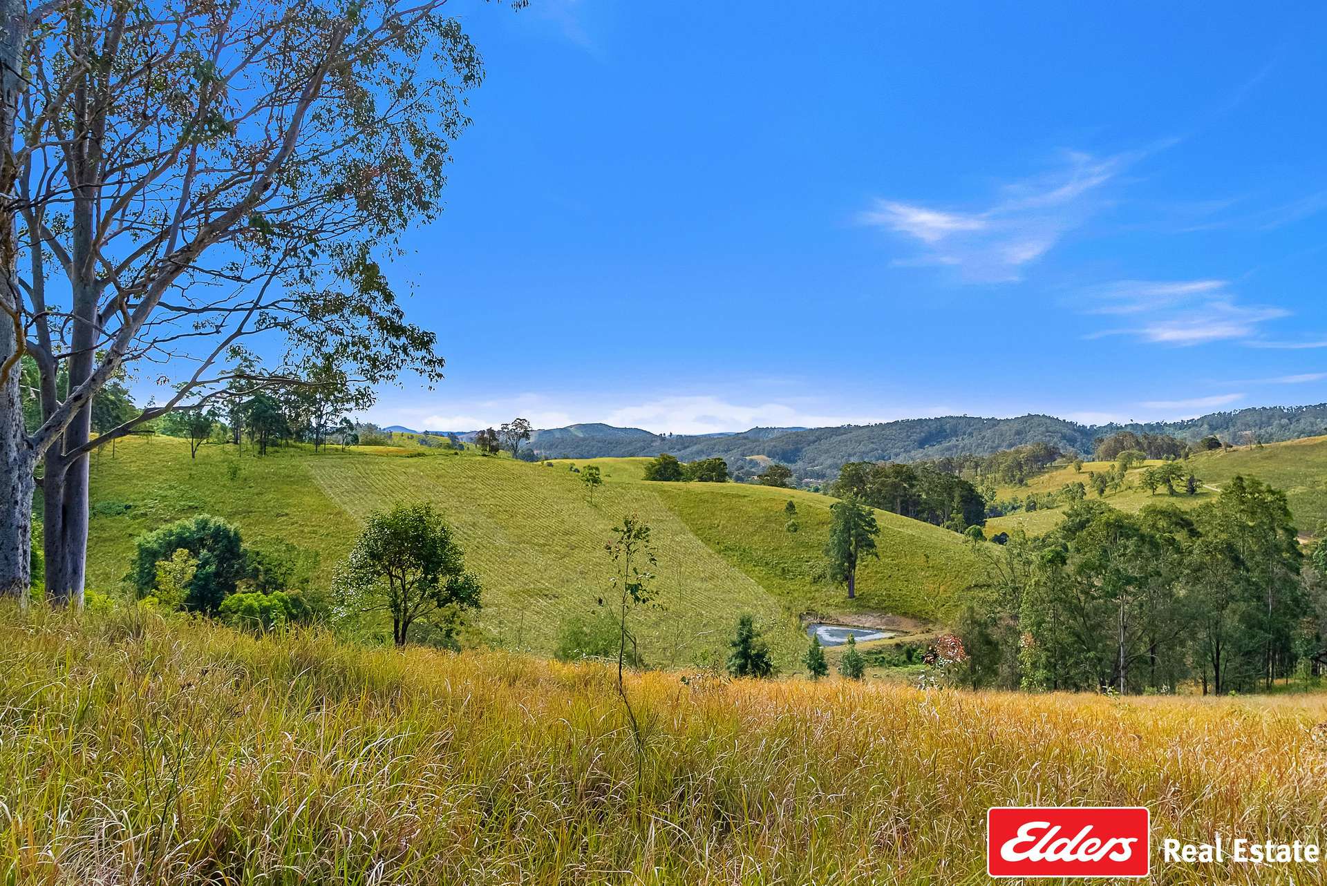 780 Mograni Creek Road, Mograni Via, Gloucester For Sale by Farmbuy.com - image 20