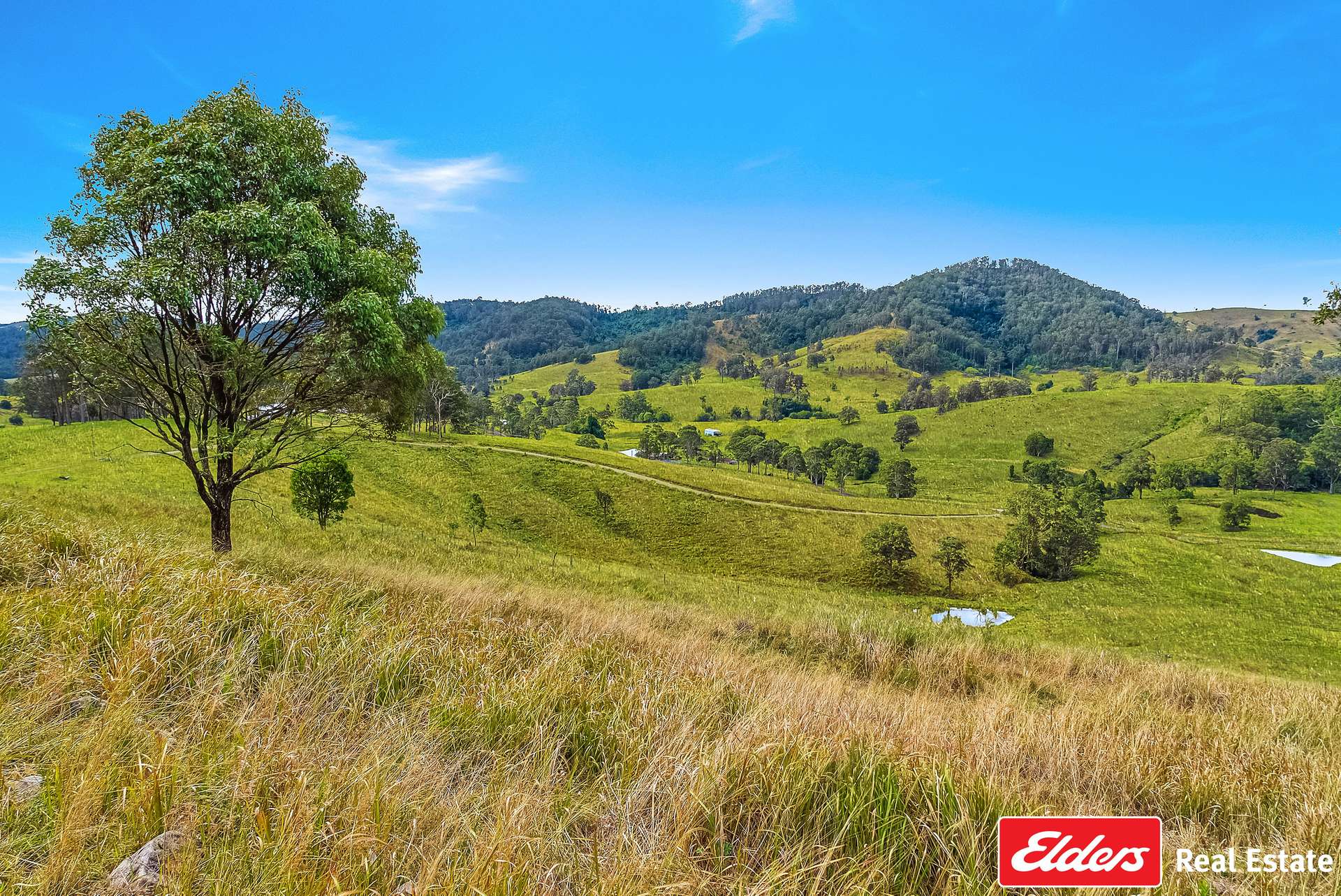 780 Mograni Creek Road, Mograni Via, Gloucester For Sale by Farmbuy.com - image 19
