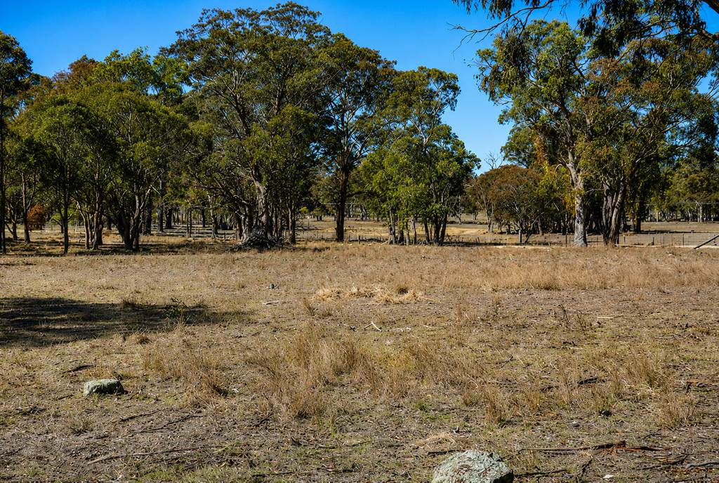 62 Cemetary Road, Torrington NSW 2371