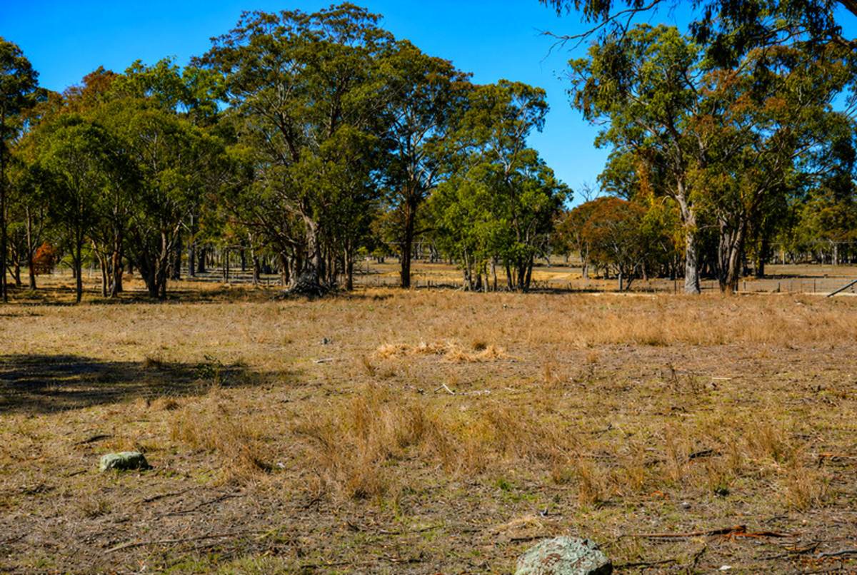 62 Cemetary Road, Torrington For Sale by Farmbuy.com - image 3