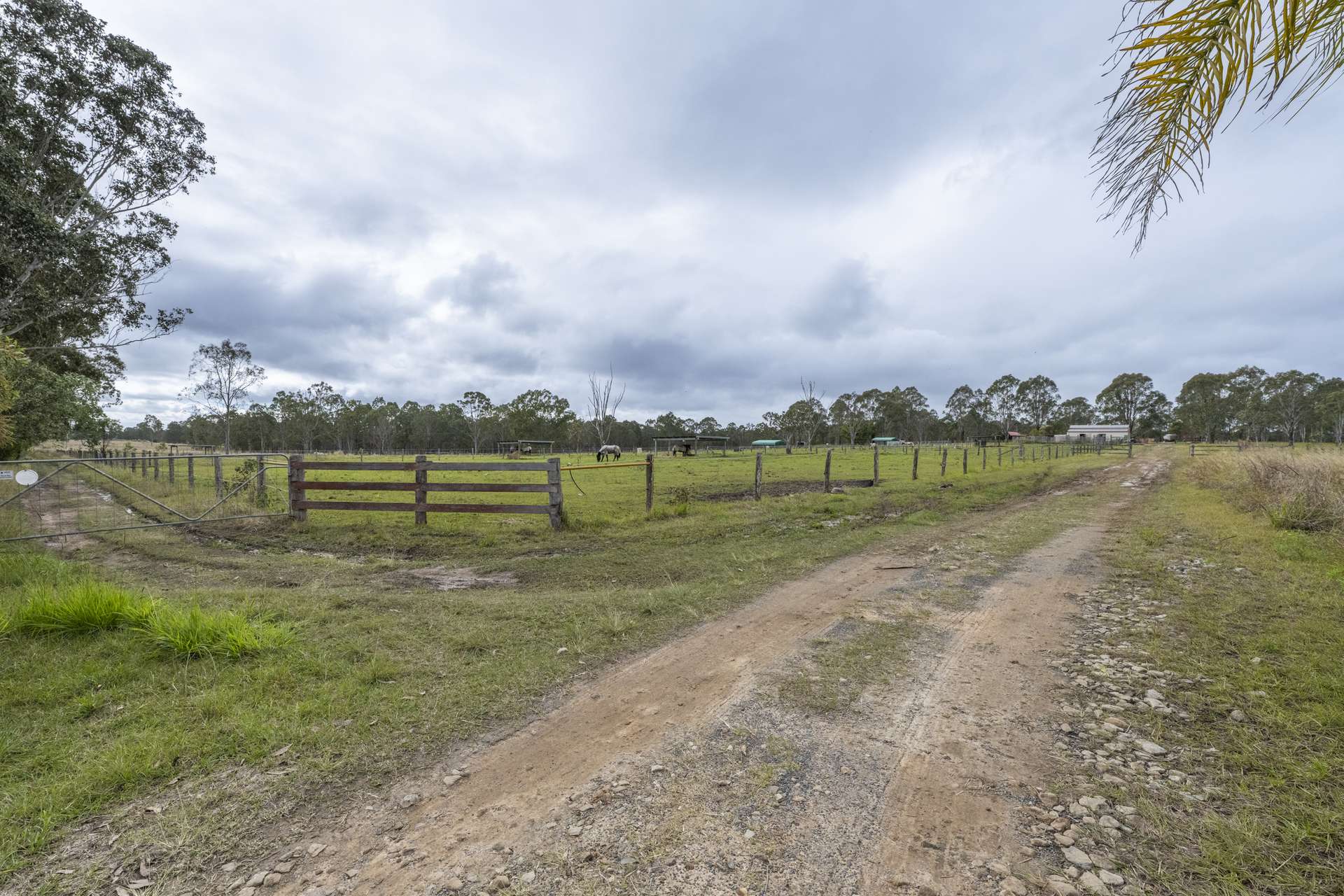 44 Tullymorgan Road, Lawrence For Sale by Farmbuy.com - image 30