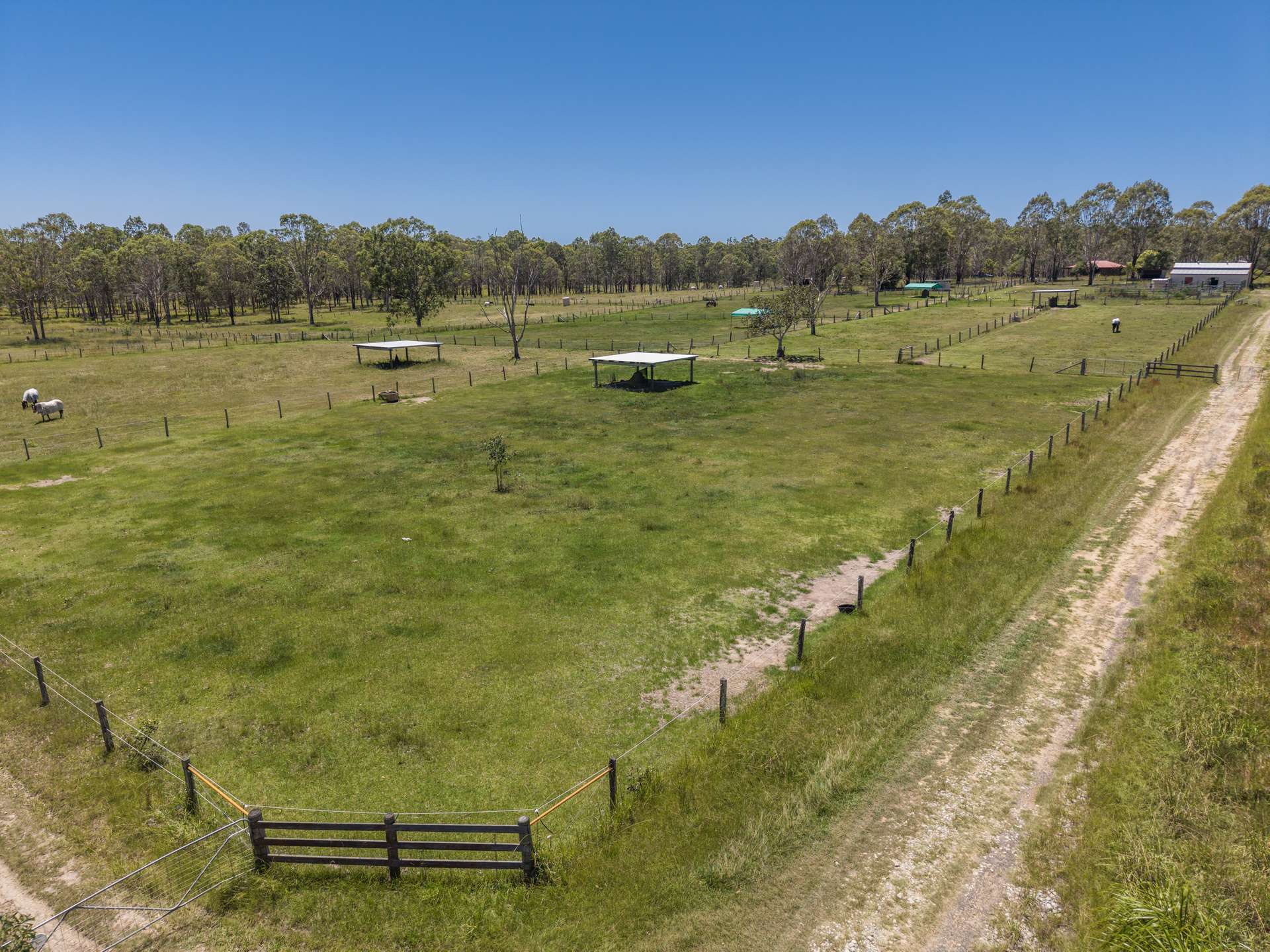 44 Tullymorgan Road, Lawrence For Sale by Farmbuy.com - image 23