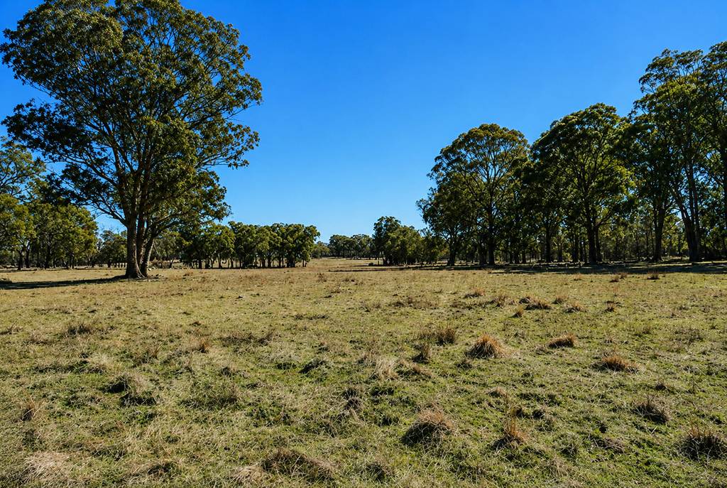 320 Cemetery Road, Torrington NSW 2371