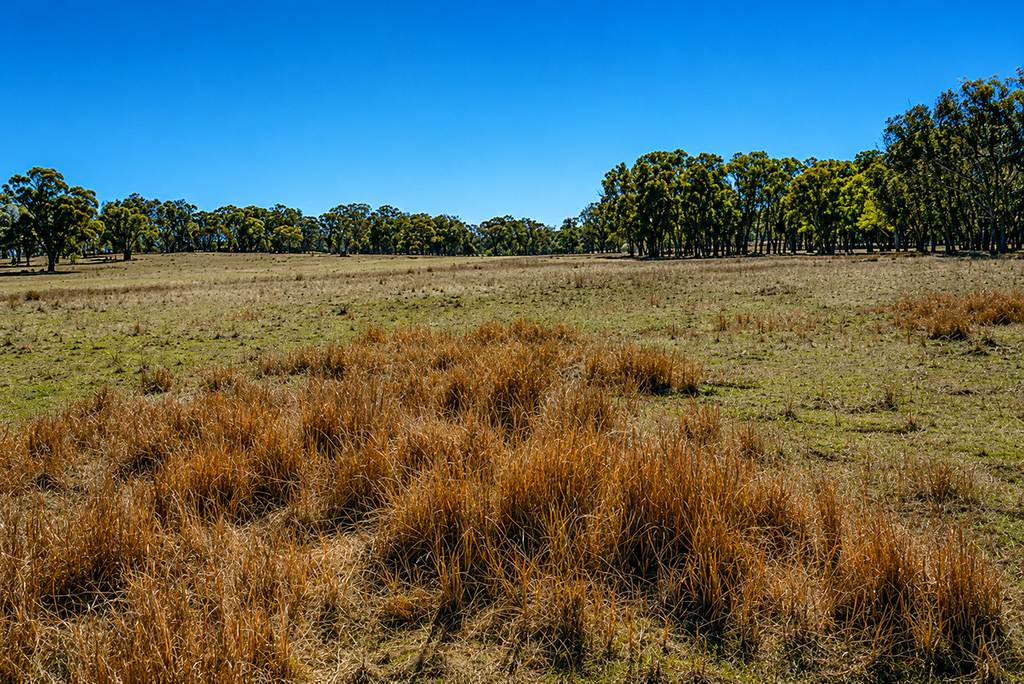 320 Cemetery Road, Torrington NSW 2371