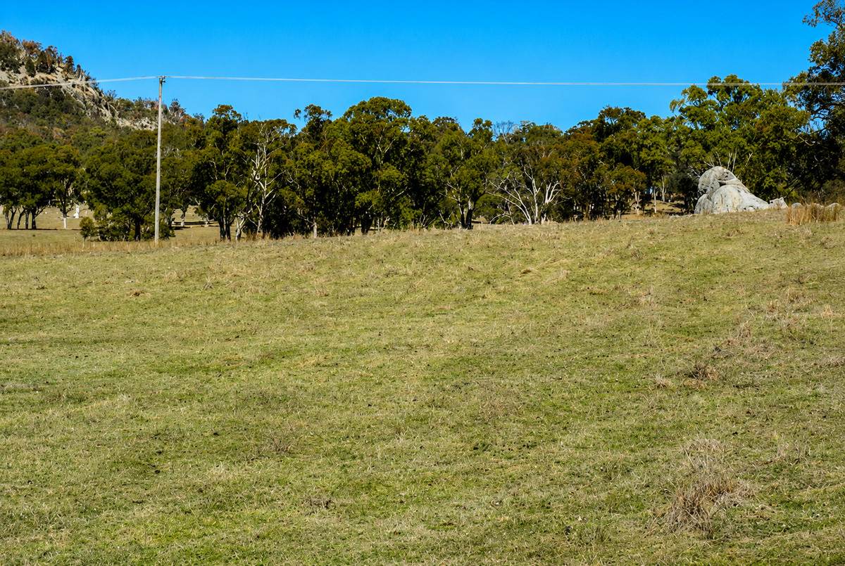 320 Cemetery Road, Torrington For Sale by Farmbuy.com - image 8