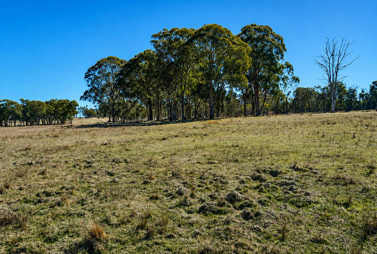 320 Cemetery Road, Torrington For Sale by Farmbuy.com - image 11