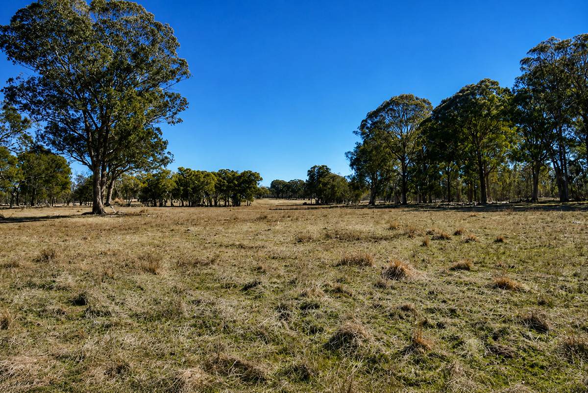 320 Cemetery Road, Torrington For Sale by Farmbuy.com - image 9